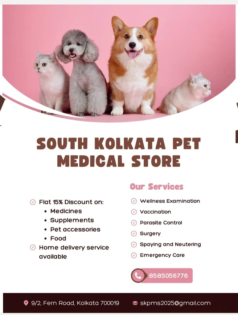 Group pet parenting class